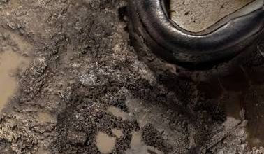 قاتلان شهید سلیمانی