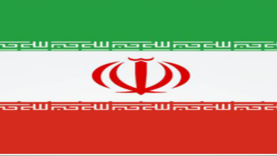 محمدرضا میرشمسی