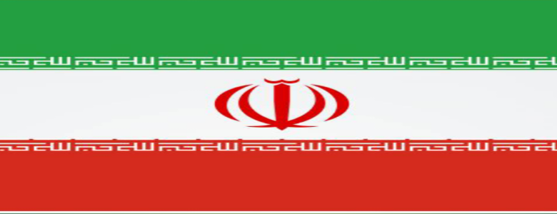 محمدرضا میرشمسی